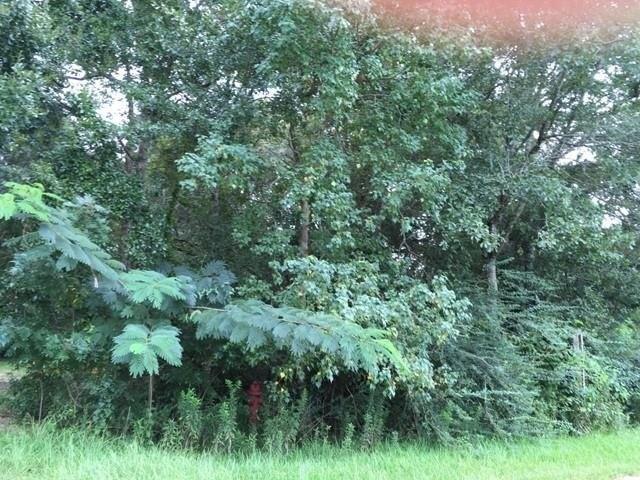 Plot For Sale In Daphne, Alabama