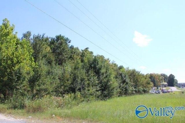 Plot For Sale In Arab, Alabama