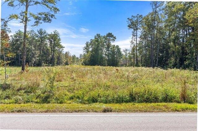 Plot For Sale In Theodore, Alabama