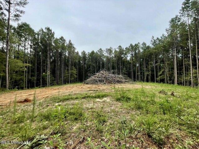 Plot For Sale In Brandon, Mississippi