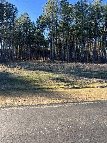 Plot For Sale In Brandon, Mississippi