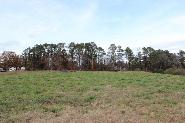 Plot For Sale In Cullman, Alabama
