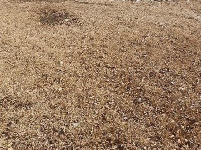 Plot For Sale In Memphis, Tennessee