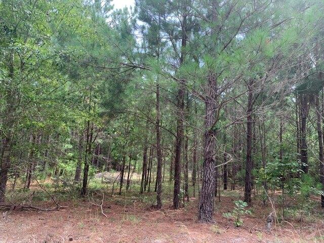 Plot For Sale In Rembert, South Carolina