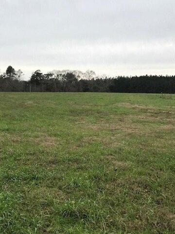 Plot For Sale In Poplarville, Mississippi