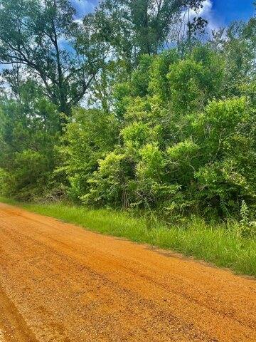 Plot For Sale In Summit, Mississippi