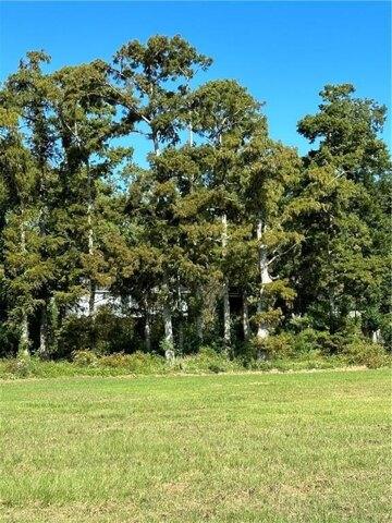 Plot For Sale In Mobile, Alabama