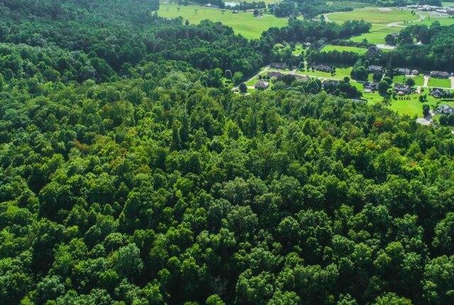 Plot For Sale In Corbin, Kentucky