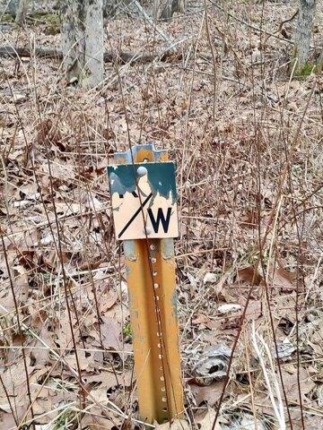 Plot For Sale In Stetson, Maine