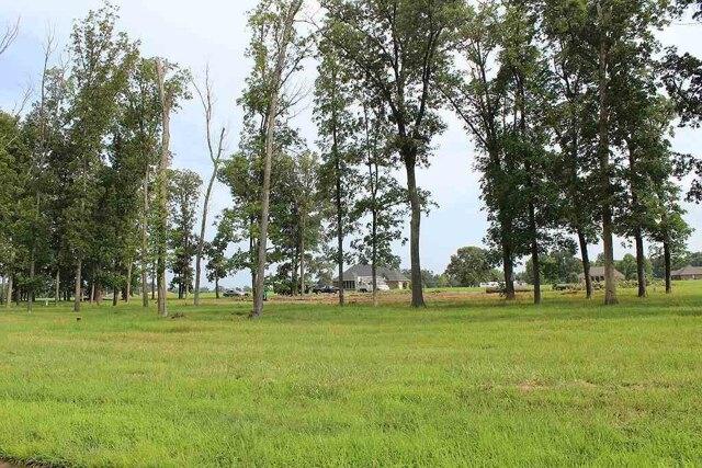 Plot For Sale In Murray, Kentucky