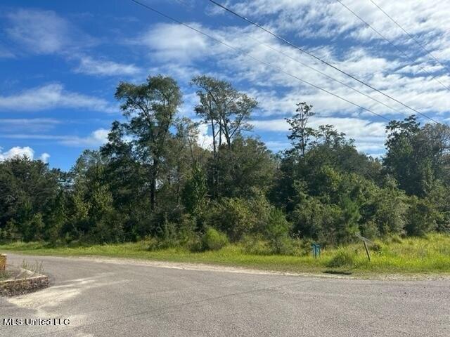 Plot For Sale In Lucedale, Mississippi