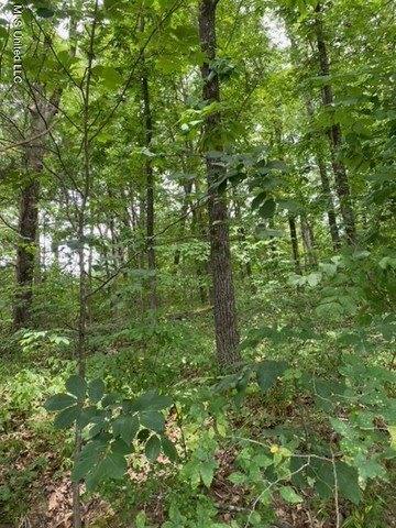 Plot For Sale In Hernando, Mississippi