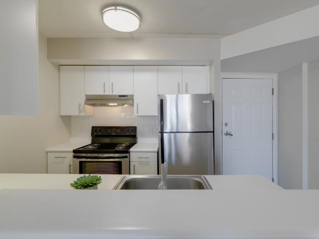 Ideal 1 Bed 1 Bath $1900/Mo for Rent