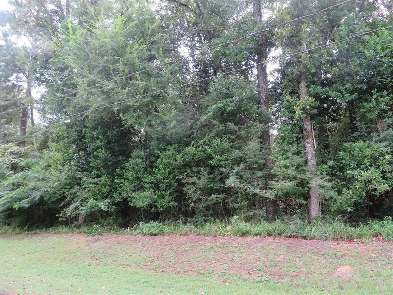 000 Hornbeam Dr, Village Mills, TX 77663 for Sale