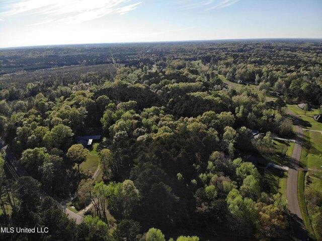 Plot For Sale In Brandon, Mississippi
