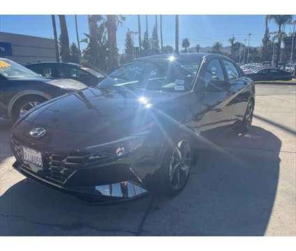 2023 Hyundai Elantra Hybrid Limited for Sale