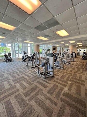 Condo For Rent In Miami, Florida
