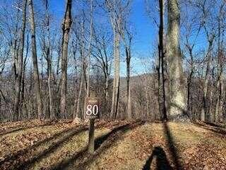 Lot 80, White Rock Trl, Caldwell, WV 24986  614619001 for Sale