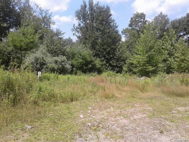 HASBROUCK ROAD TR 96, Fallsburg, NY 12733 Land For Sale  MLS# H6278185
