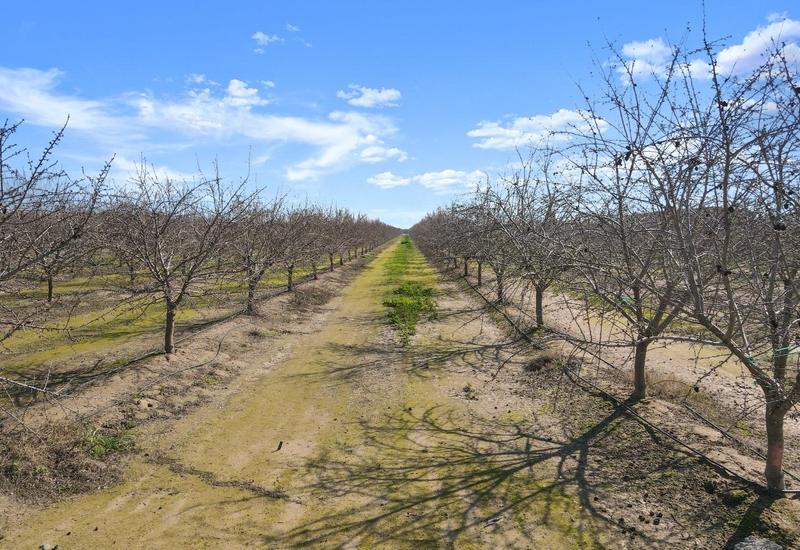 19811 Robertson Blvd, Chowchilla, CA 93610 - MLS 223012916 for Sale