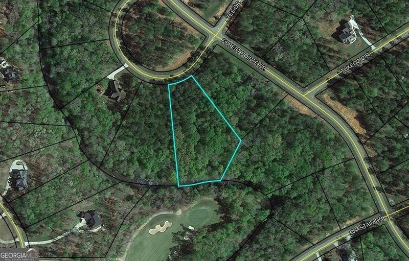 102 FOREST VIEW CIR, Forsyth, GA 31029 Land For Sale  MLS# 20168323