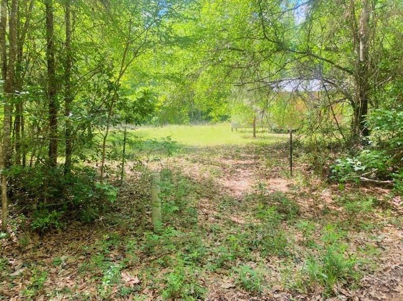 10240 Fm 1725 Rd, Cleveland, TX 77328 - MLS 73912521 for Sale