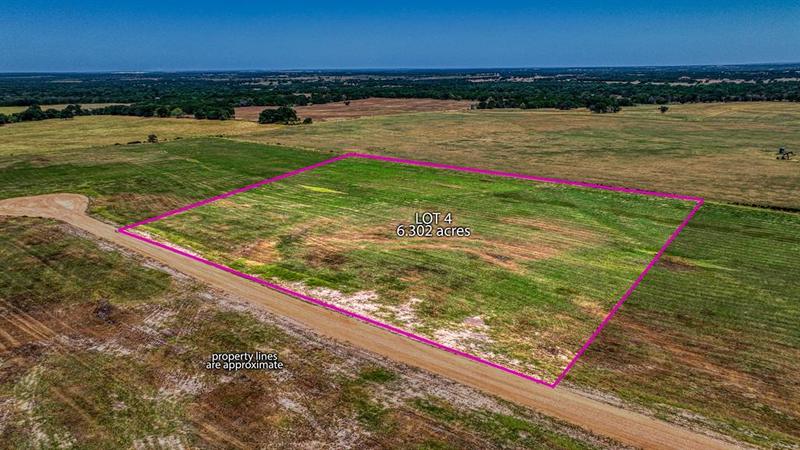 206 Homestead Ct, Lipan, TX 76462 for Sale