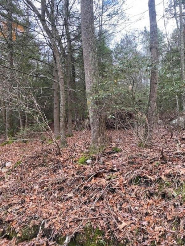 141 BRANDT RD, Cuddebackville, NY 12729 Land For Sale  MLS# 20233015