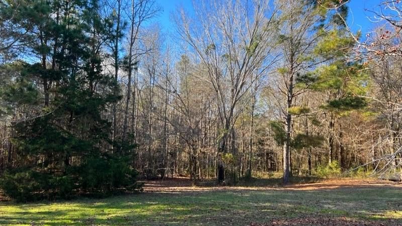 Marietta, Cass County, TX Recreational Property, Undeveloped Land, Hunting Property for sale Property ID: 418541656
