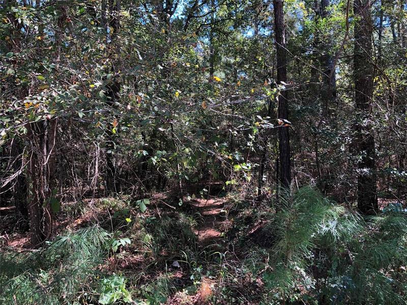 Lot 16F W Stuart Ln, Trinity, TX 75862 for Sale
