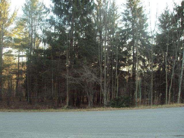 Oneonta, Otsego County, NY Undeveloped Land for sale Property ID: 416878665