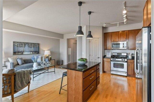 1 bedroom in Minneapolis MN 55404 for Sale