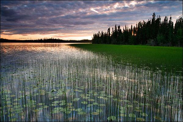 Alaska Land for Sale, 3.57 Acres, Near Deadman Lake