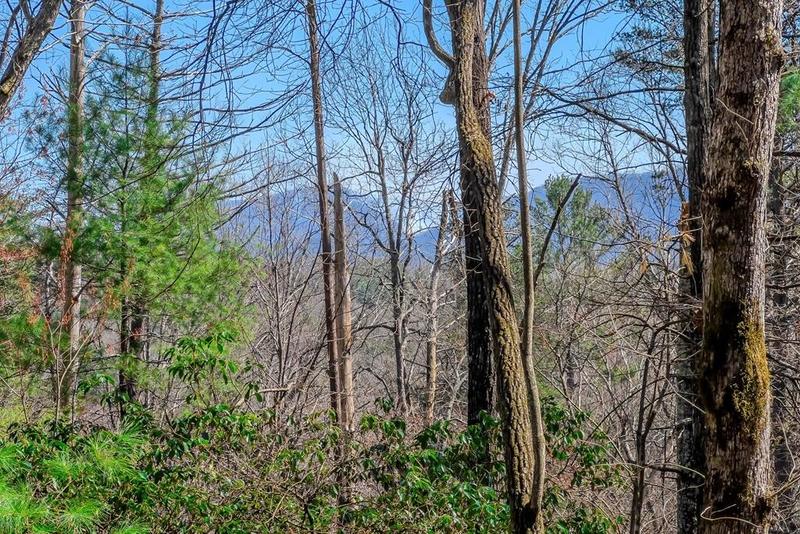 Ellijay, Are you ready to build your dream home in the North for Sale