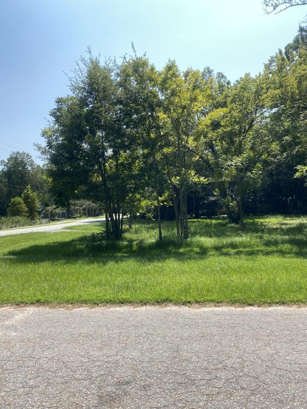 314 North Hickory Street, Summerville, SC 29483 for Sale