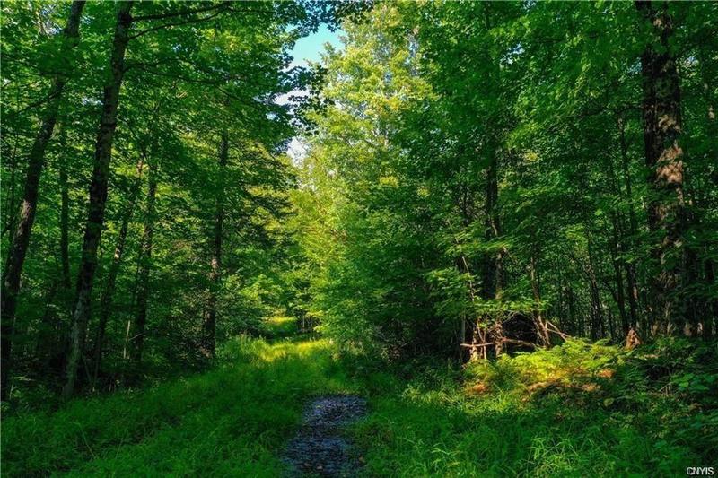 Ohio, Herkimer County, NY Undeveloped Land for sale Property ID: 415641461