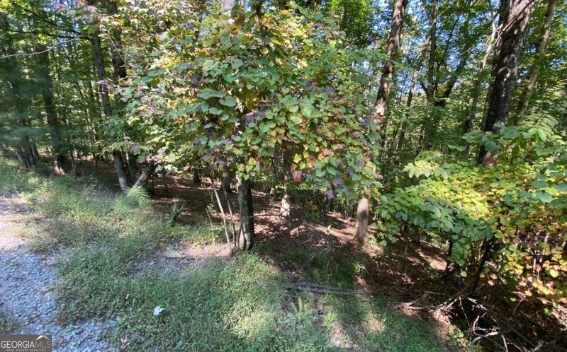 L811 Myna Drive, Ellijay, GA 30540 for Sale