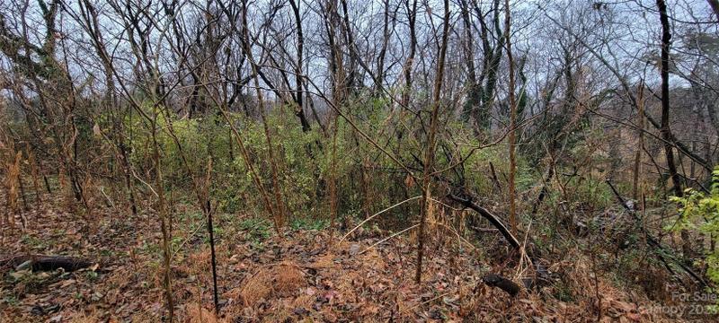 Lenoir, Caldwell County, NC Undeveloped Land, Homesites for sale Property ID: 418724190