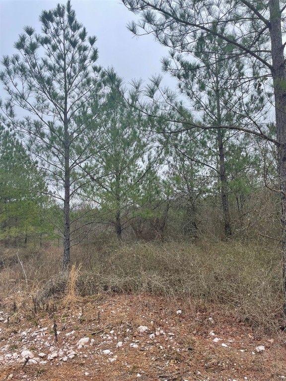 Address Not Disclosed, Broken Bow, OK 74728  MLS# 1096880 for Sale