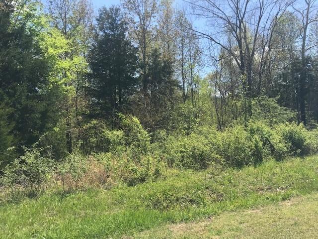 0 Mc Fall Road, Palmyra, TN 37142 for Sale