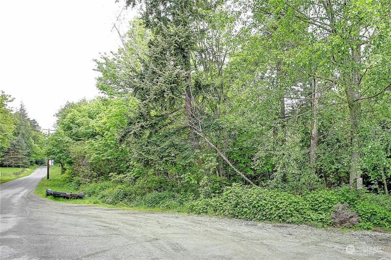 0 SE CAMANO DRIVE, Camano Island, WA 98282 Land For Sale  MLS# 2202222