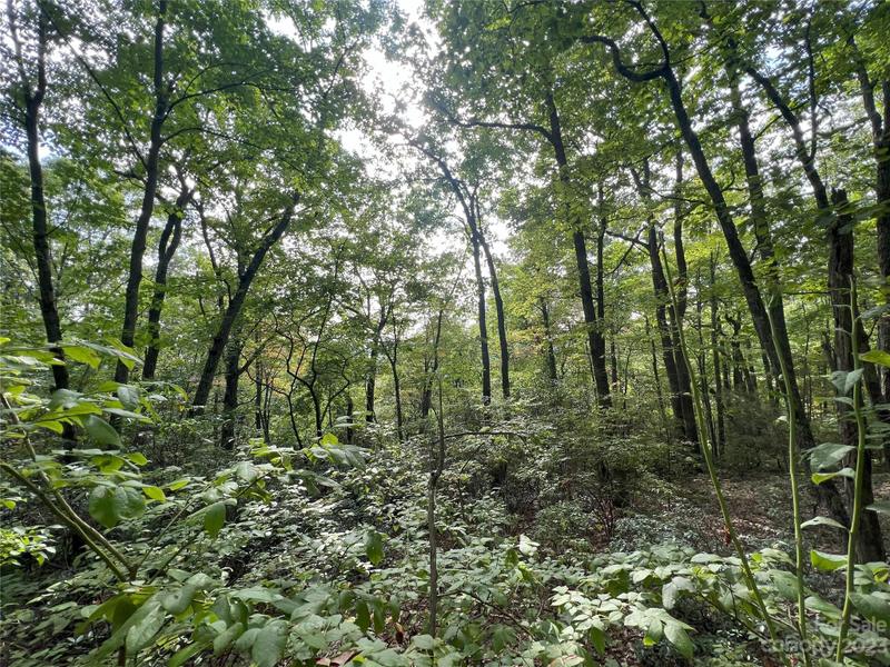 999 Hickory Nut Lane, Unit 390, Lake Lure, NC 28746 for Sale