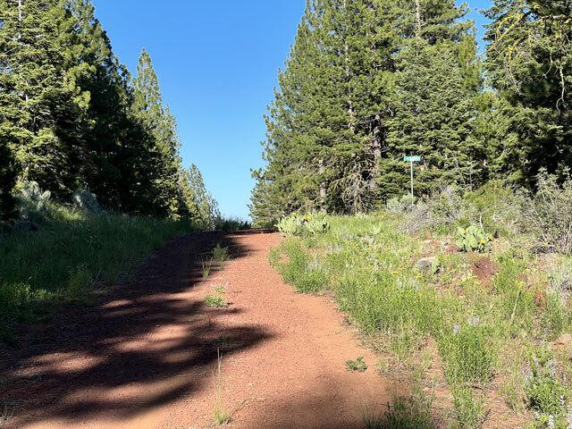 N. California Land for Sale, 0.92 acres, near Alturas