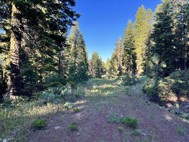N. California Land for Sale, 0.92 acres, Nice Trees