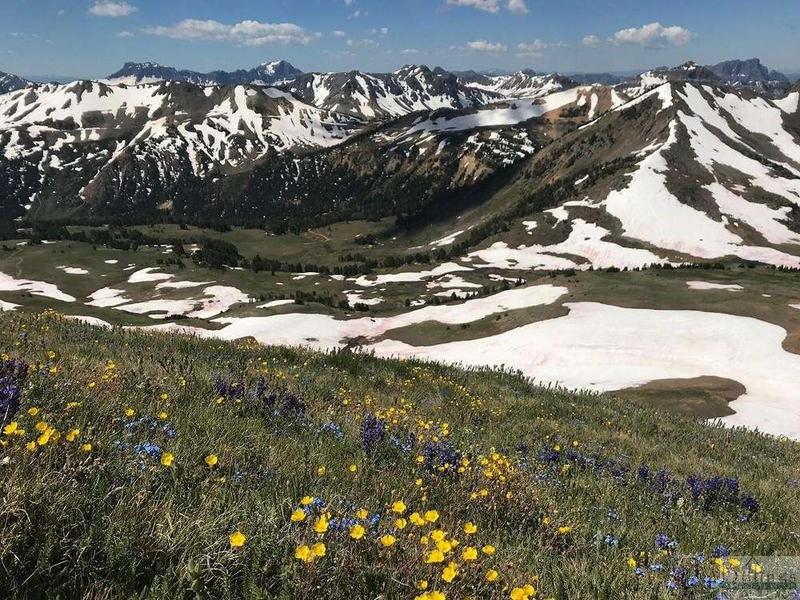 Vmc Sheep Mountain, Cooke City, MT 59020  623744752 for Sale