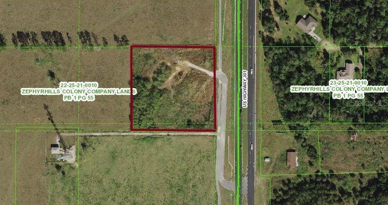 9515 US Hwy 301, Dade City, FL 33525 - MLS U8207464 for Sale