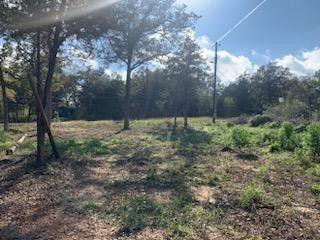 Smithville, Bastrop County, TX Undeveloped Land, Homesites for sale Property ID: 418573914