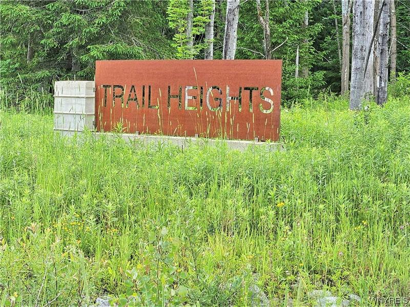 4 TRAIL HEIGHTS ROAD, Ellicottville, NY 14731 Single Family Residence For Sale  MLS# B1480282