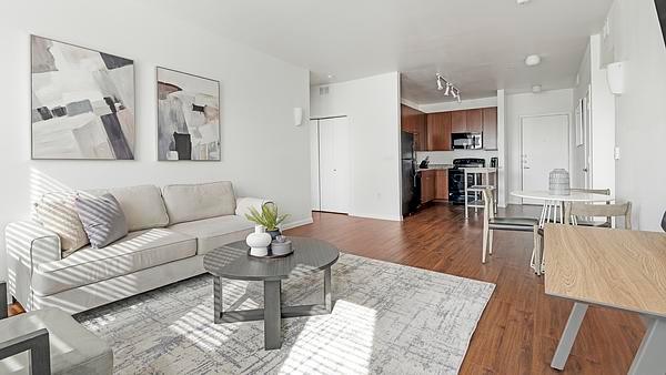Rent Griffis at the Domain Apartment Homes #02-5429 in Austin, TX - Landing