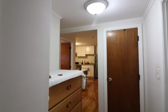 1 bedroom in Brookline MA 02446 for Rent